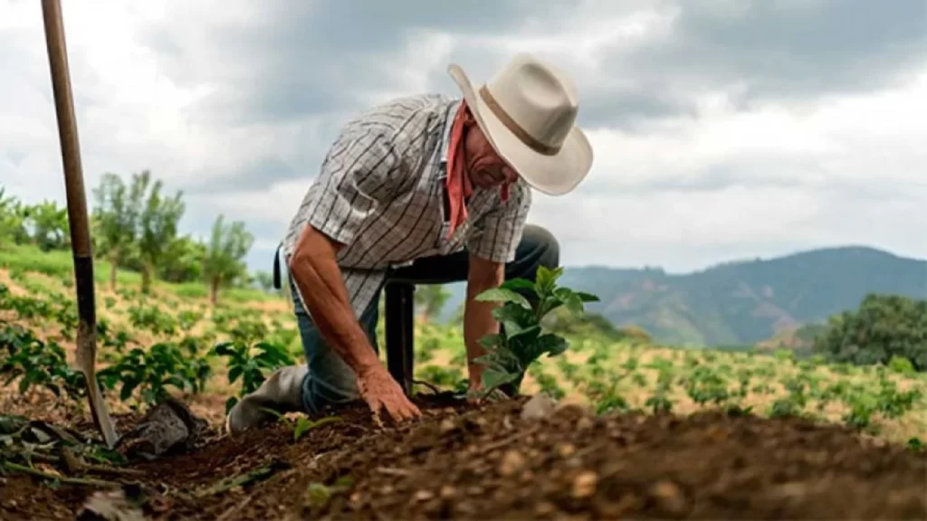 Más de 400 agricultores en Cundinamarca reciben capacitación para impulsar el sector agropecuario