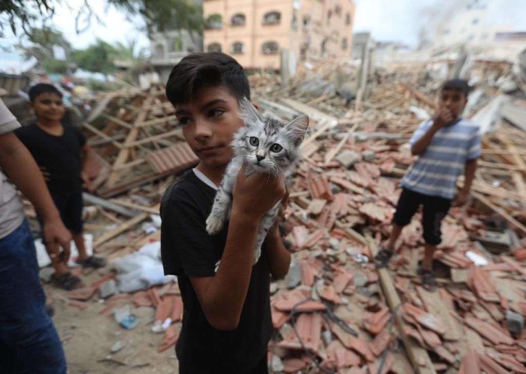 Palestinos en Gaza al borde de la hambruna: ONU solicita acuerdo para el ingreso de ayuda humanitaria