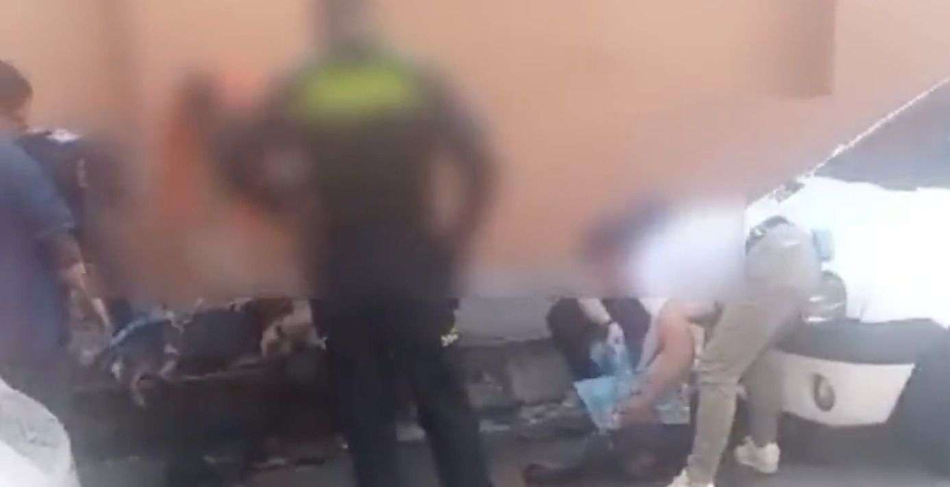 Judicializan a un hombre en Anapoima por dejar perros encerrados en un carro, en guacales: uno de ellos murió