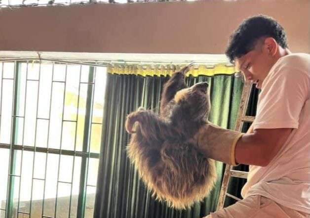 Tibacuy le aporta a la conservación de los animales en su territorio