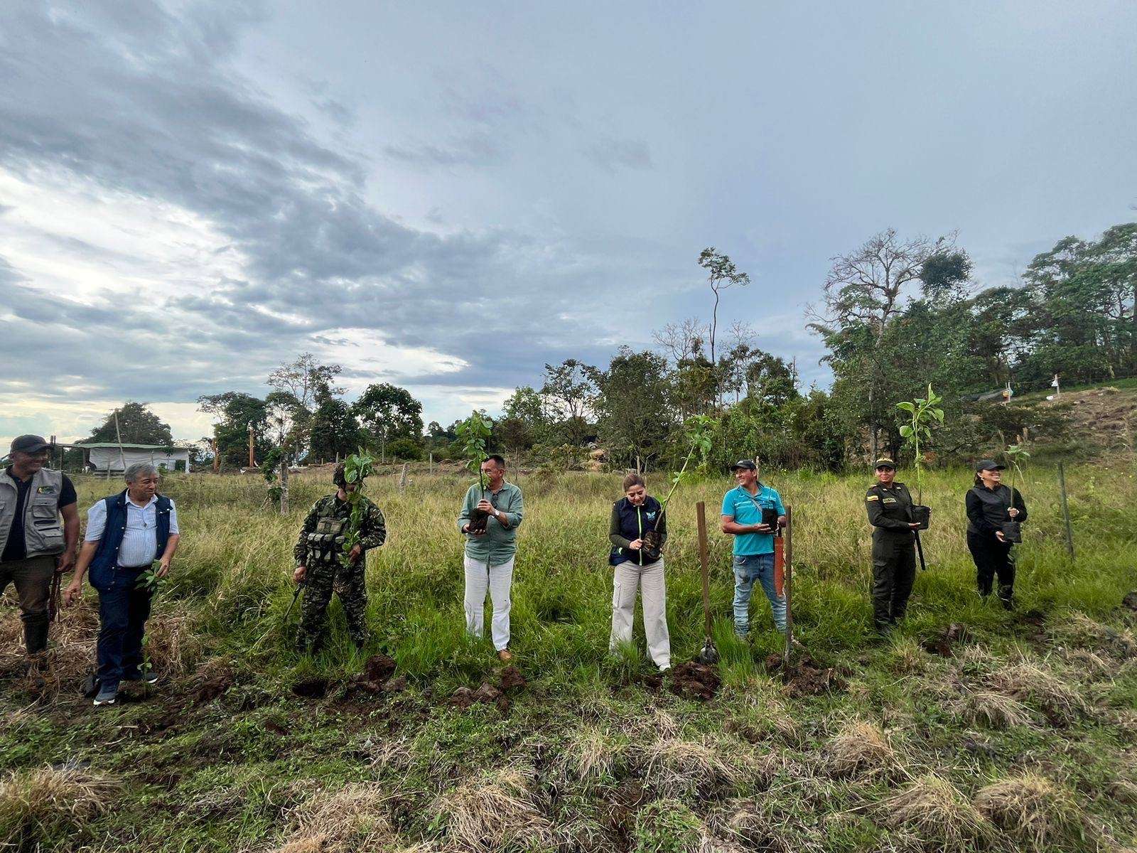 Viotá celebra la Semana por la Paz con jornada de reforestación en Alto Ceylán