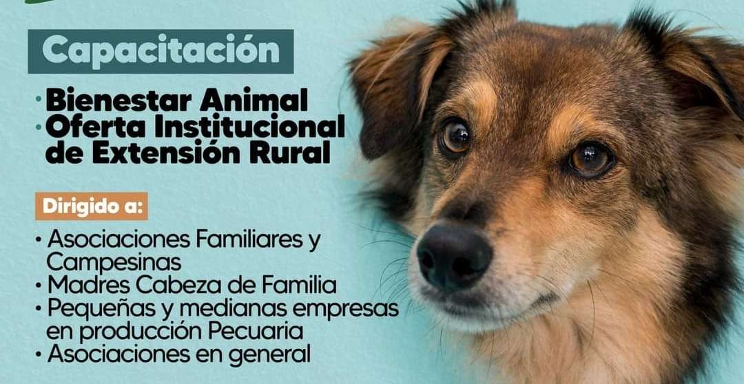 Taller sobre bienestar animal en La Mesa Cundinamarca