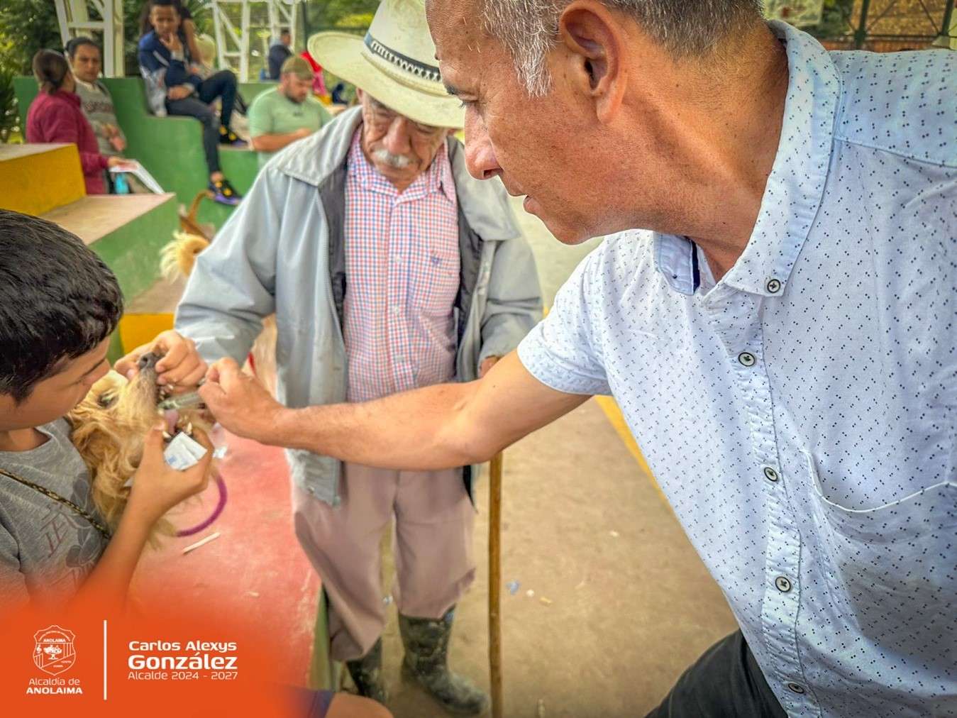 Atención para los animales en La Florida