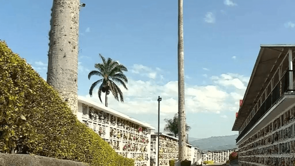 Alerta por incremento del caracol africano en Cundinamarca