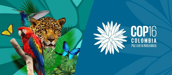 Cali será sede de la COP16, el evento mundial más importante sobre biodiversidad