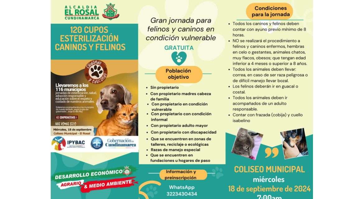 El Rosal anuncia jornada gratuita de esterilización para mascotas
