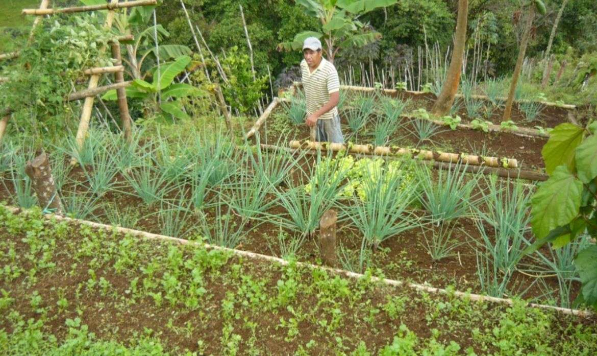 El Rosal impulsa proyectos productivos para víctimas del conflicto