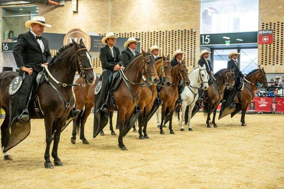 Feria de exposición equina grado B en Sasaima