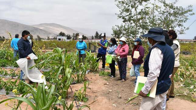 Junín impulsa capacitación para agricultores