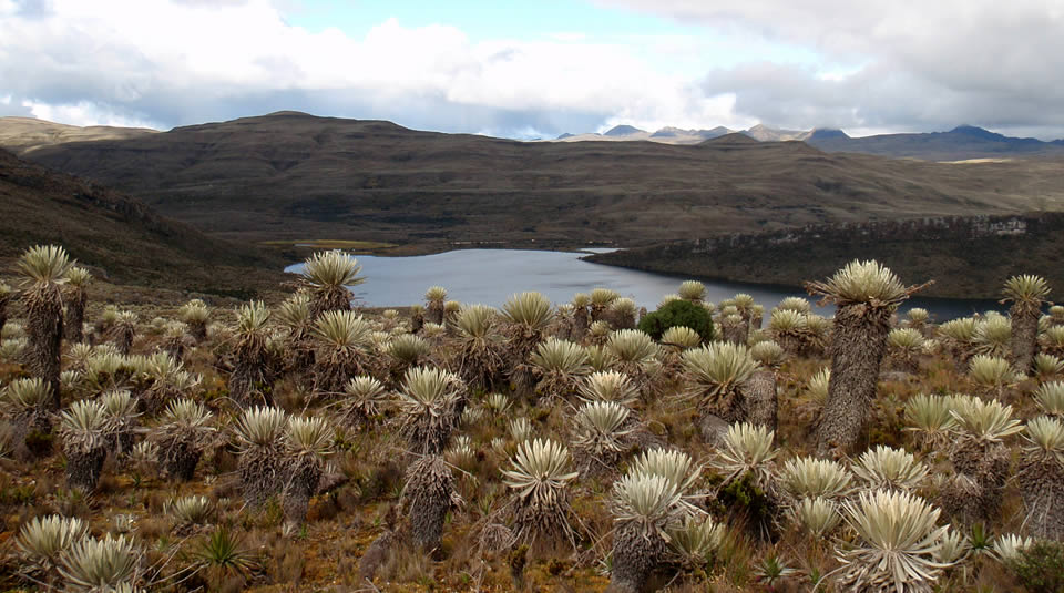 Alcaldía de Pasca realizará una reunión encaminada a proteger el Páramo Cruz Verde y Sumapaz