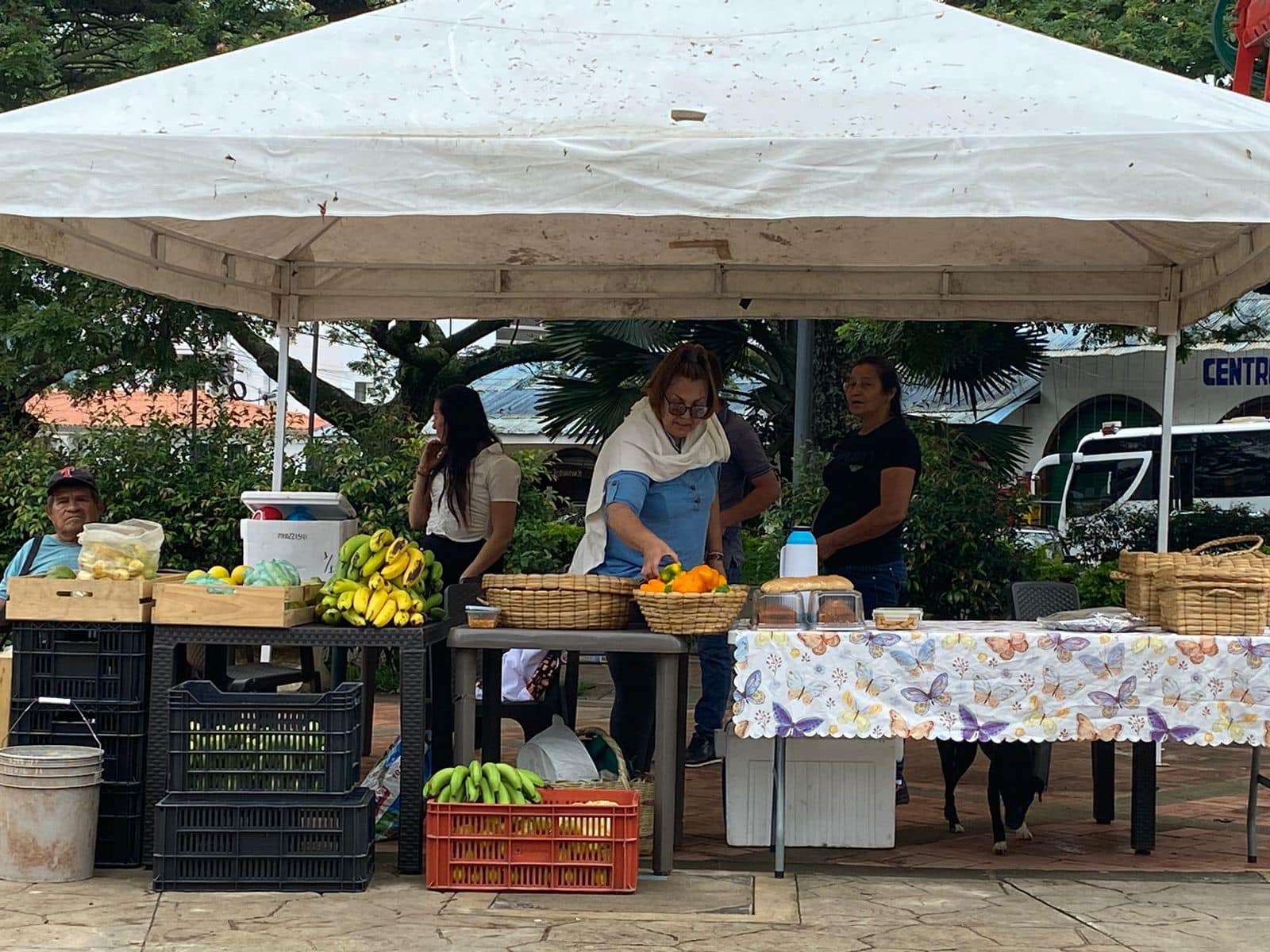Mercado Campesino de Pandi: una celebración de la tradición y el progreso