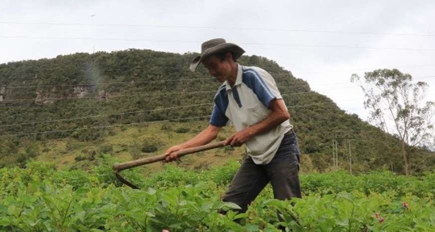 Fusagasugá lanza la Tarjeta Sembrando 2.0 para apoyo a campesinos