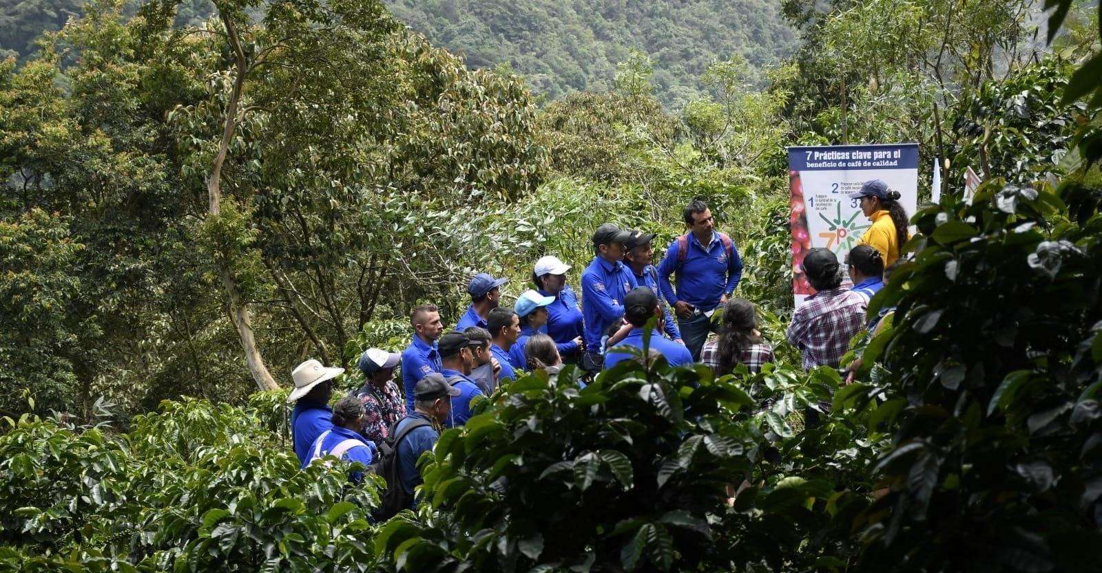 Guayabetal premiará la mejor taza de café del Oriente de Cundinamarca