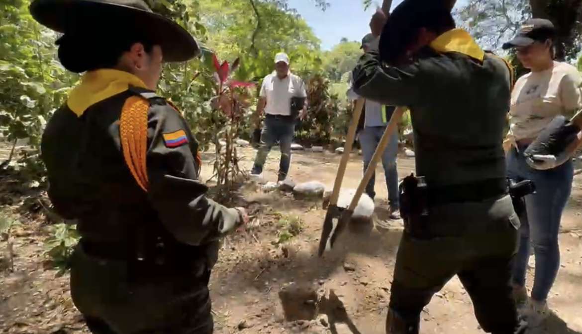 Crisis hídrica en Cundinamarca impulsa reforestación en Tocaima