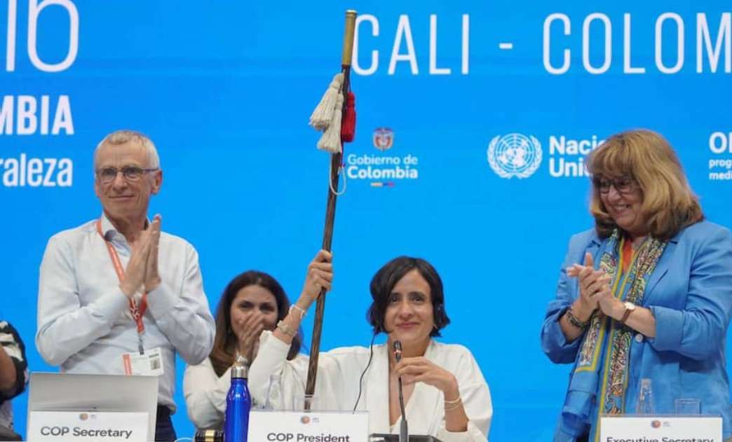 COP16 aprueba crear un órgano permanente para indígenas