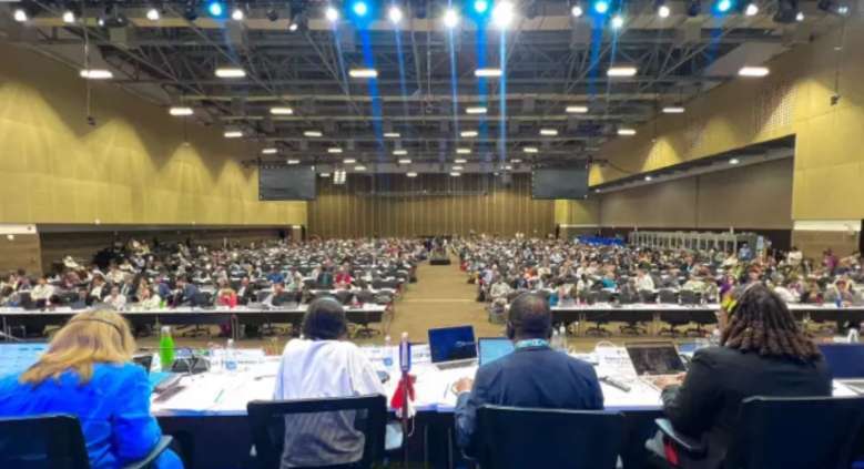 COP16 concluye sin consenso: desafíos y acuerdos pendientes en la cumbre de biodiversidad
