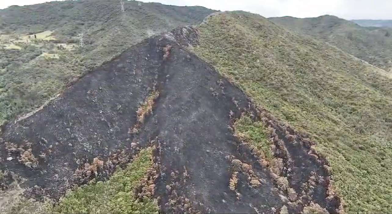 CAR evalúa daños en flora y fauna tras incendio en Soacha