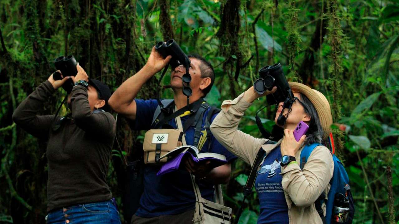 Colombia se consolida como el destino principal para el avistamiento de aves