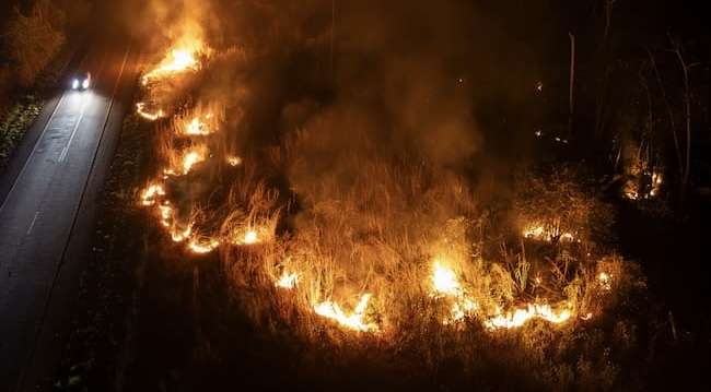 Bomberos siguen luchando contra el incendio en la reserva natural de Brasilia