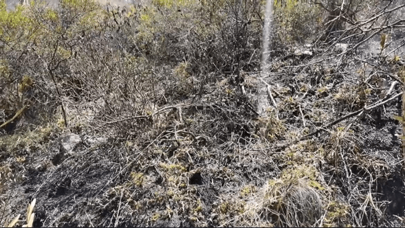 Incendio en los cerros de San Mateo, Soacha