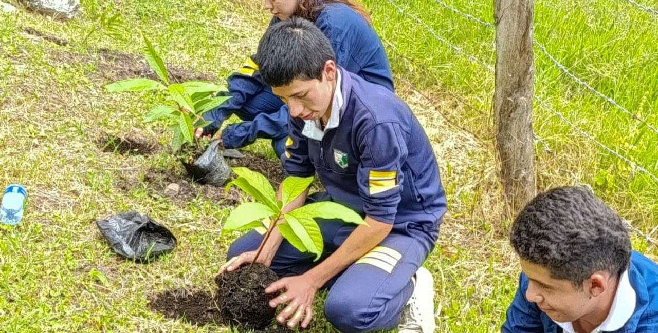 Ubaque le apuesta a la reforestación en tiempos de sequía