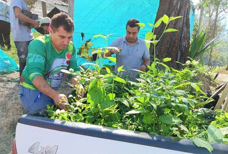 San Bernardo impulsa campaña de reforestación en la ronda hídrica del río Negro
