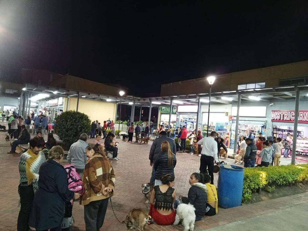 Avance en la estrategia de vacunación para perros y gatos en Madrid