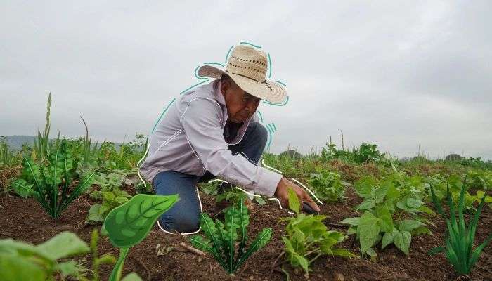 Asistencia técnica para los productores de Beltrán