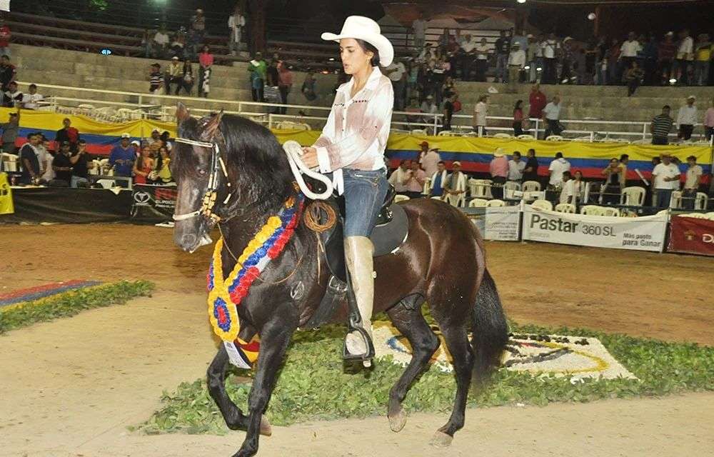 San Juan de Rioseco se prepara para su octava exposición equina