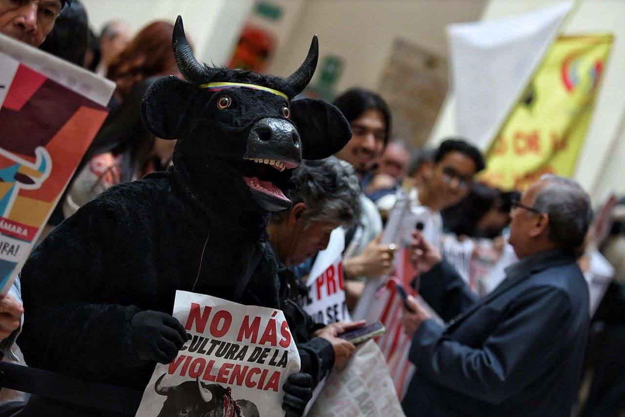 Colombia prohíbe las corridas de toros tras histórica votación en el Congreso