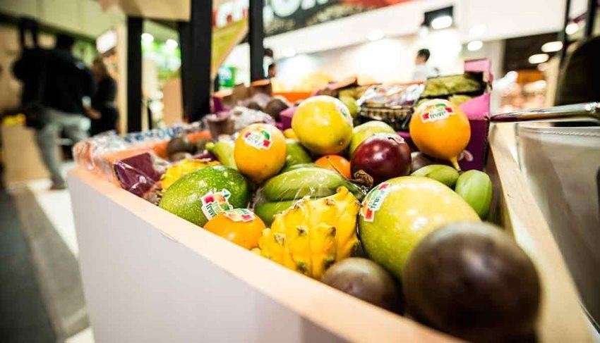 Gobierno Nacional lanza mecanismo intersectorial de Bioeconomía para promover el crecimiento verde en Colombia