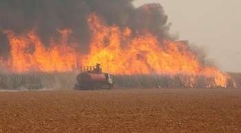 41 detenidos por provocar incendios en Brasil