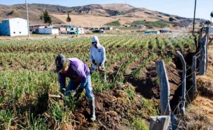Evento en Bogotá busca conectar a campesinos y empresarios para impulsar el desarrollo rural