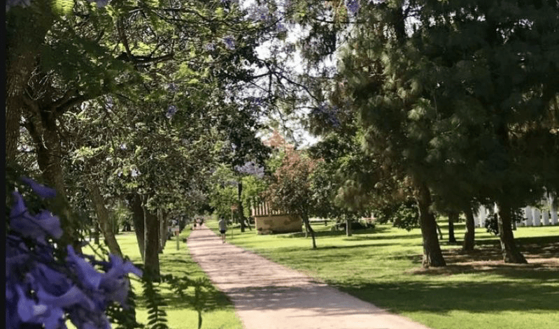 Participa en el Ecotruque: intercambia residuos por plántulas y promueve el reciclaje sostenible