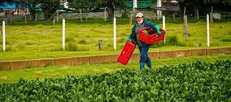 Regresa la Operación Sonrisa a Guatavita con intervenciones gratuitas