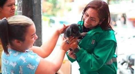 Madrid celebra el día mundial de los animales con jornada gratuita de cuidado.