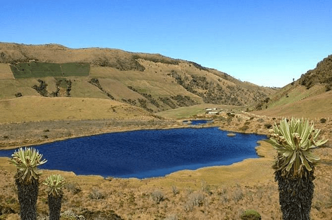 Descubriendo los misterios de la Laguna Negra