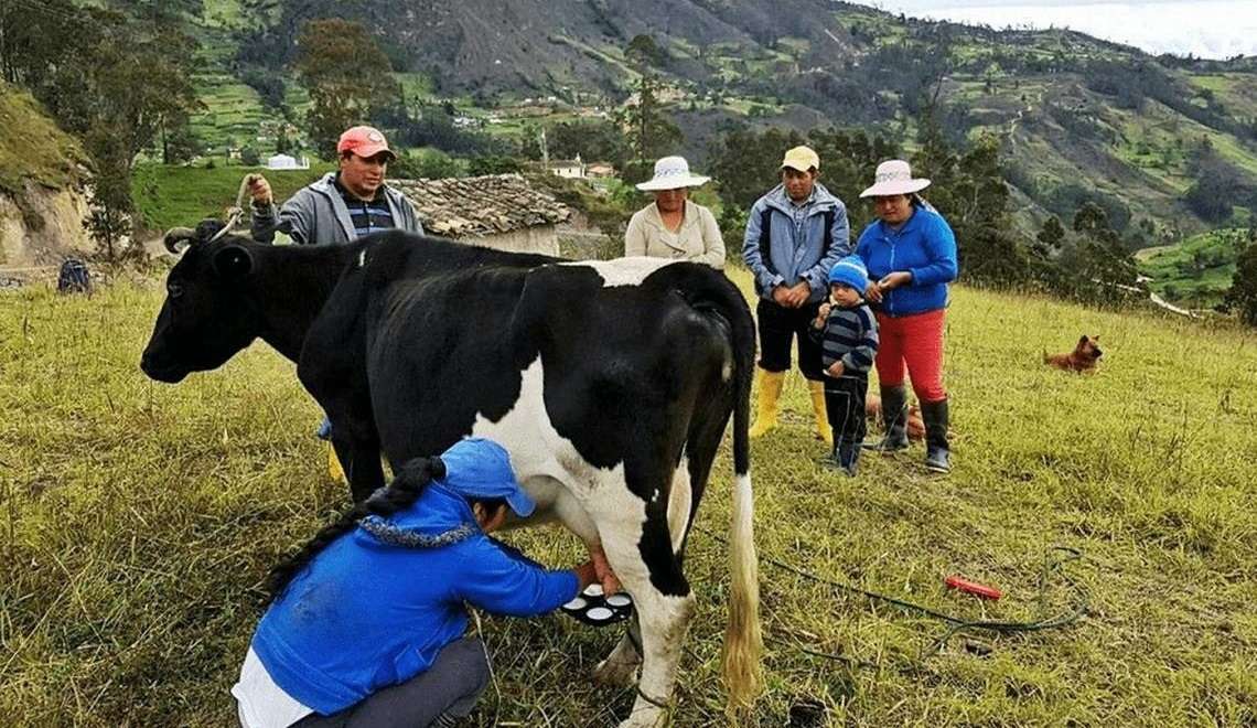 Gobernación de Cundinamarca impulsa programa de compra de leche para apoyar a productores rurales