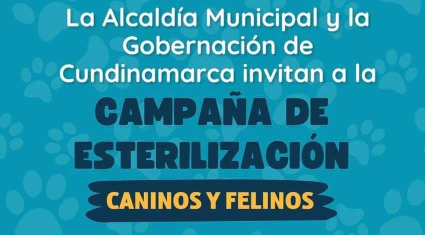 Nilo se une por el bienestar animal: ¡Esterilización gratuita para tus mascotas!