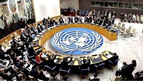 Consejo de Seguridad de la ONU respalda política de paz del Gobierno