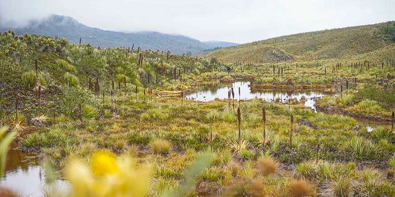 Compromiso renovado: Cundinamarca y su incansable lucha por el Río Bogotá