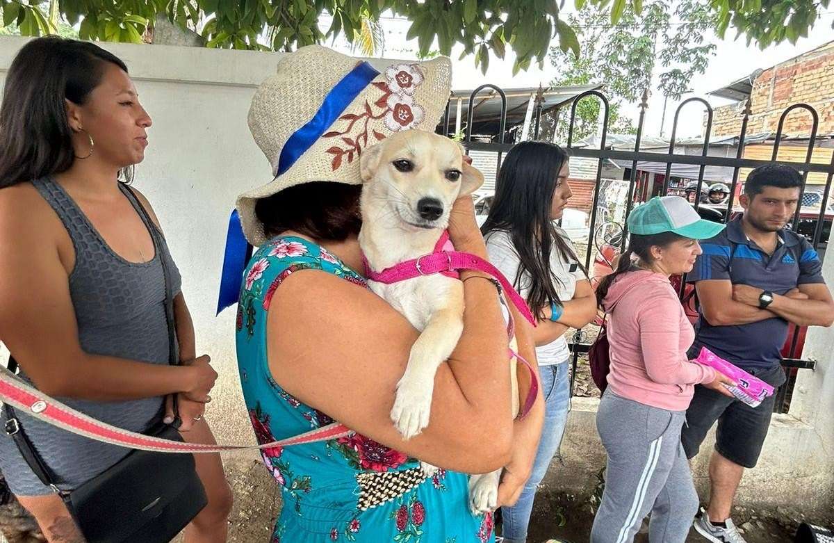Jornada de bienestar animal en La Gran Vía en Tena