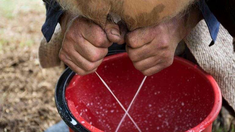 Ubaté celebrará el “Día Blanco” para personas en condición de discapacidad