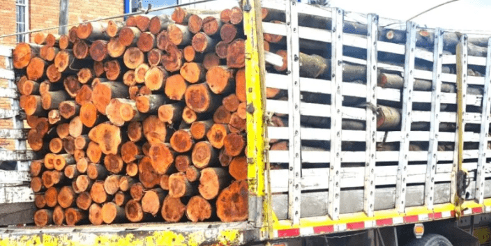 Incautan cargamento de madera ilegal en Zipaquirá
