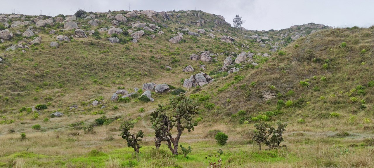 CAR lanza proyecto para conservar ecosistema en Soacha