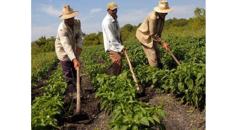 Líderes agropecuarios de Gama convocados a jornada de formalización