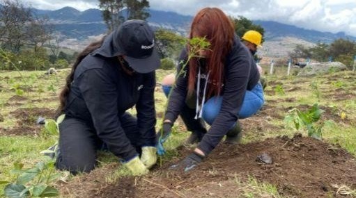 Siembran árboles nativos en homenaje a mujeres víctimas en Cundinamarca