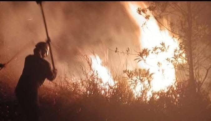 Incendio forestal afectó cerca de dos mil metros cuadrados de vegetación en Cáqueza