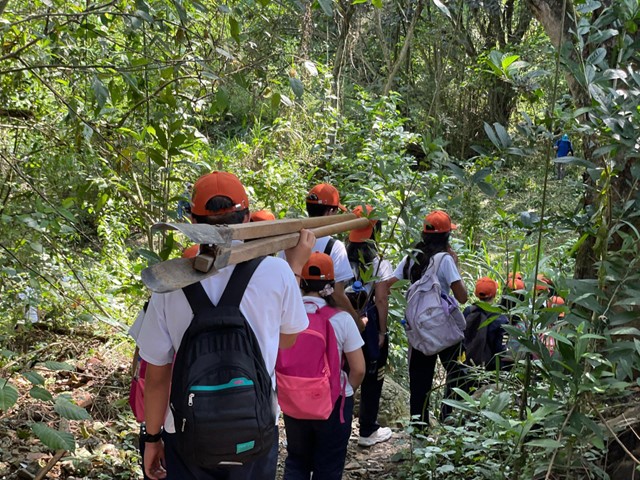 Cundinamarca siembra futuro: 103 colegios participaron en jornada de reforestación