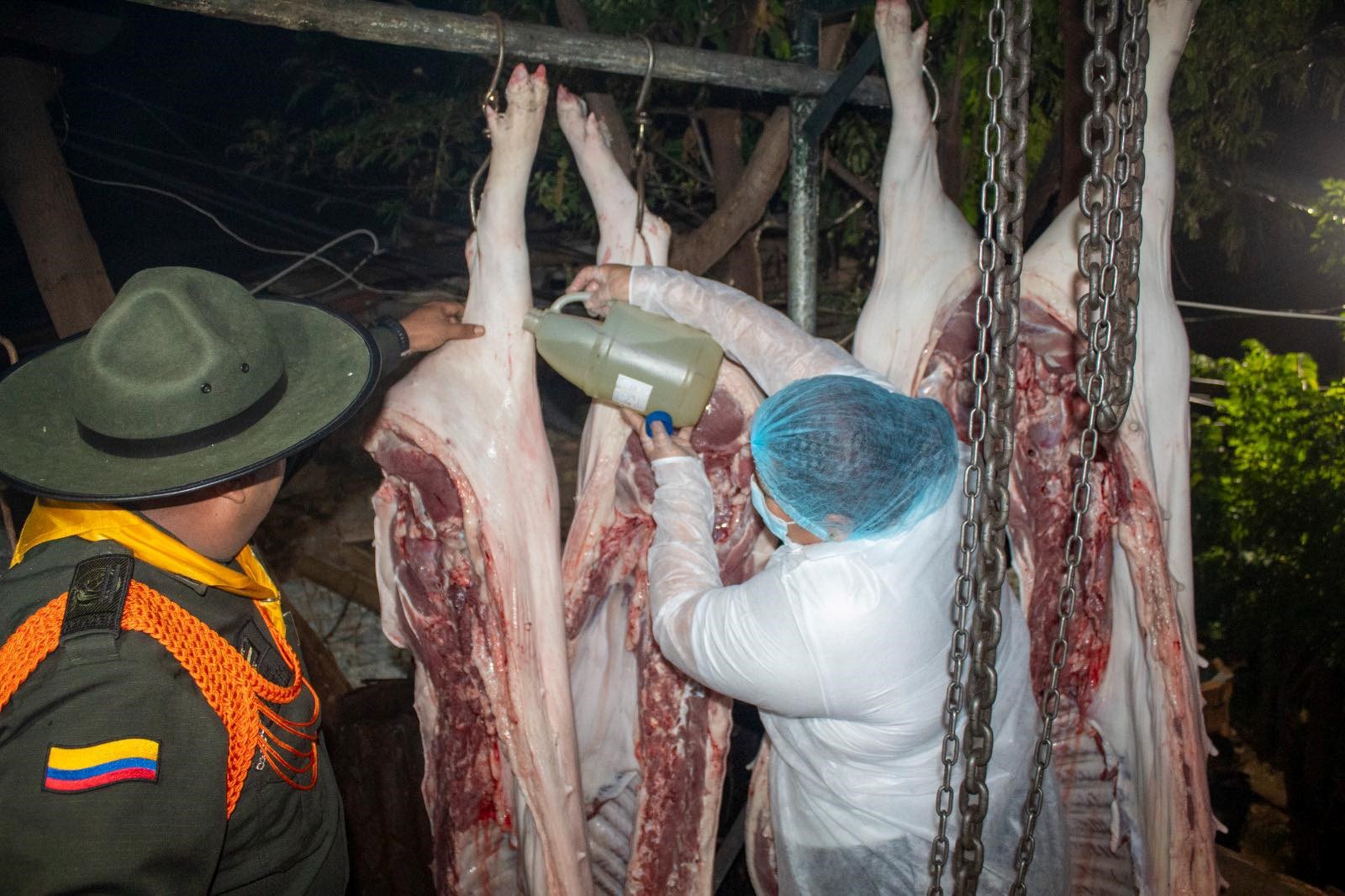 Cierre a matadero ilegal en Girardot protege la salud pública